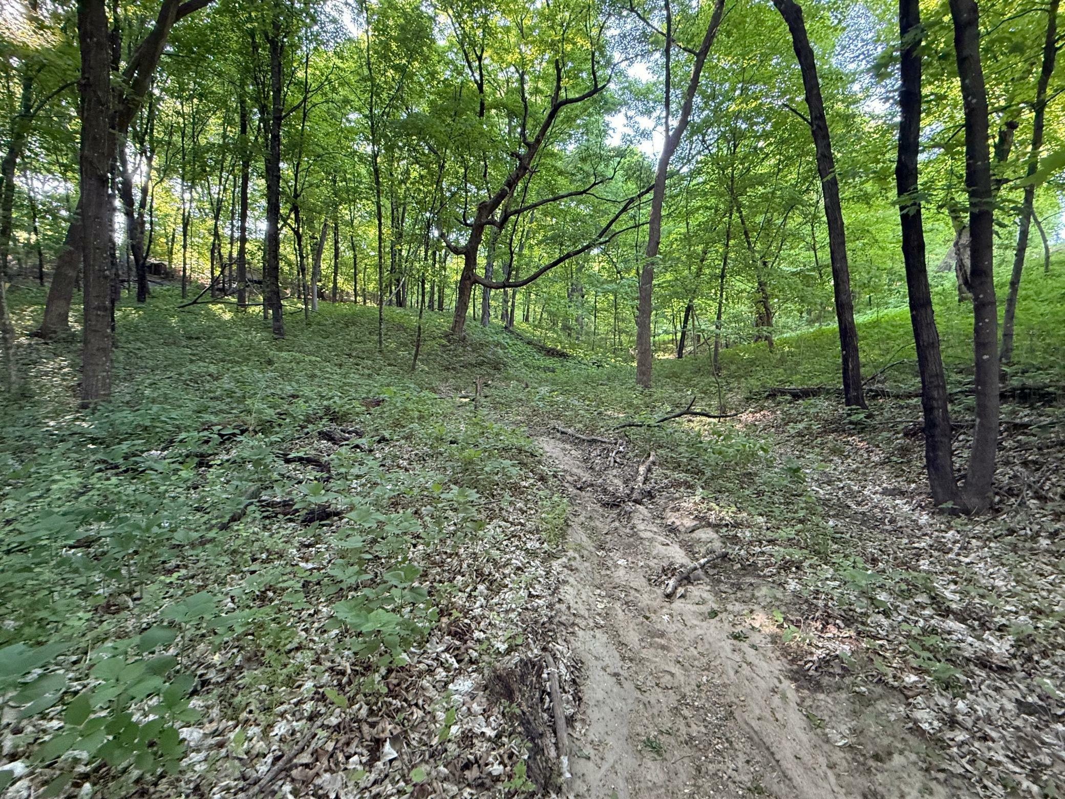 Property Photo: Xxxx Jalger Avenue SE MN 55313