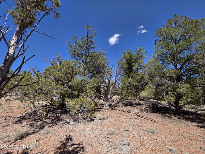 Property Photo: 000 Dusty Rose Ranch Road AZ 86337