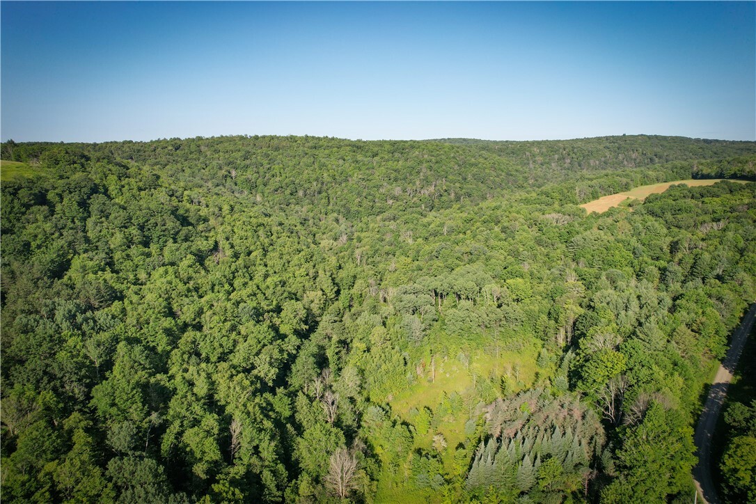 Property Photo: Williams Road NY 13743