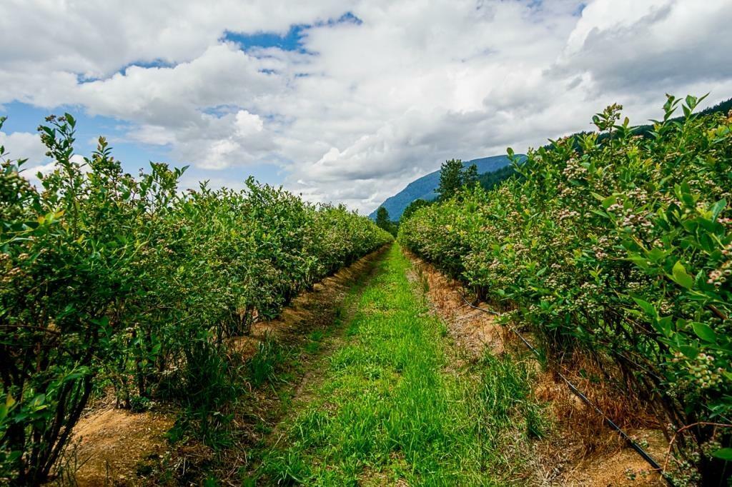 Property Photo:  Johnson 10ac  BC V0M 1G0 