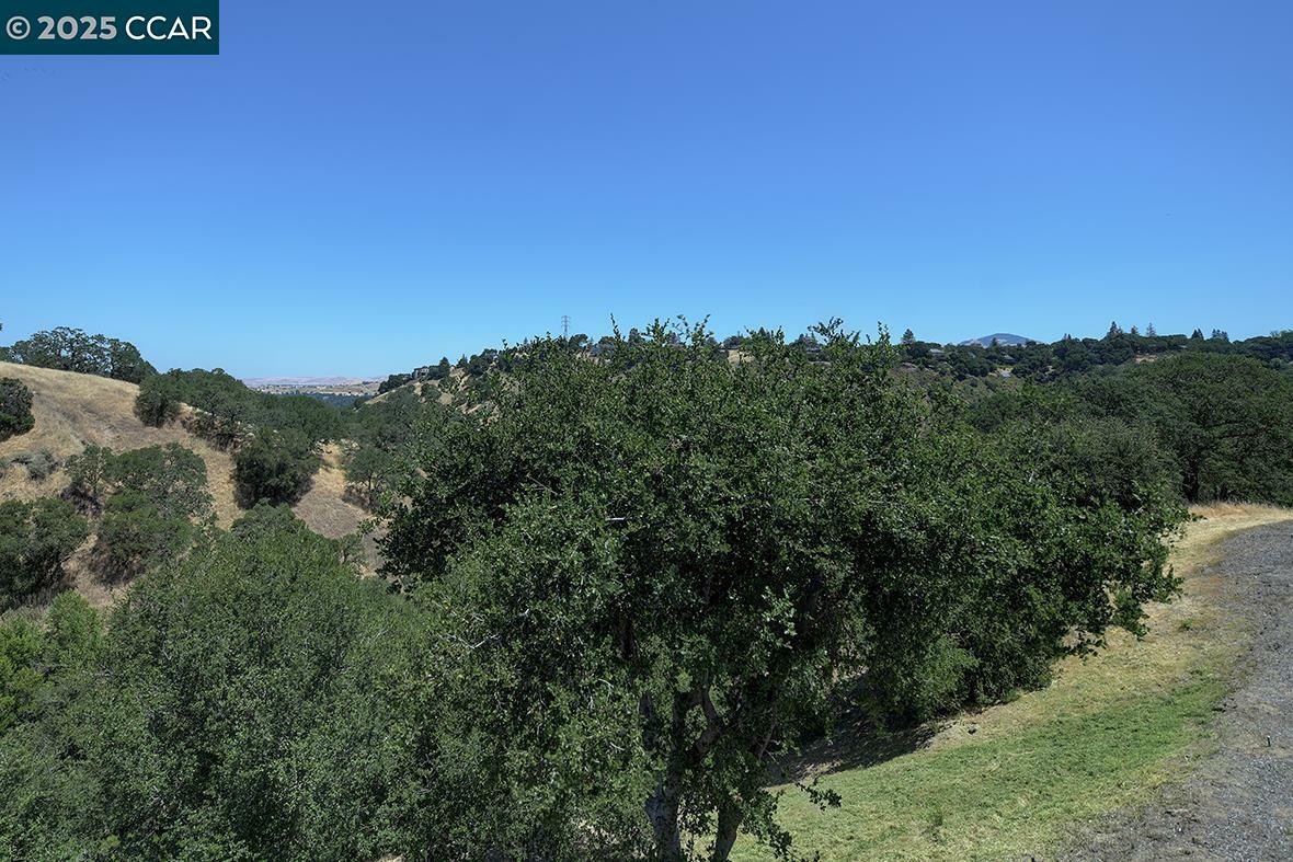 2916 Saklan Indian Dr  Walnut Creek CA 94595 photo