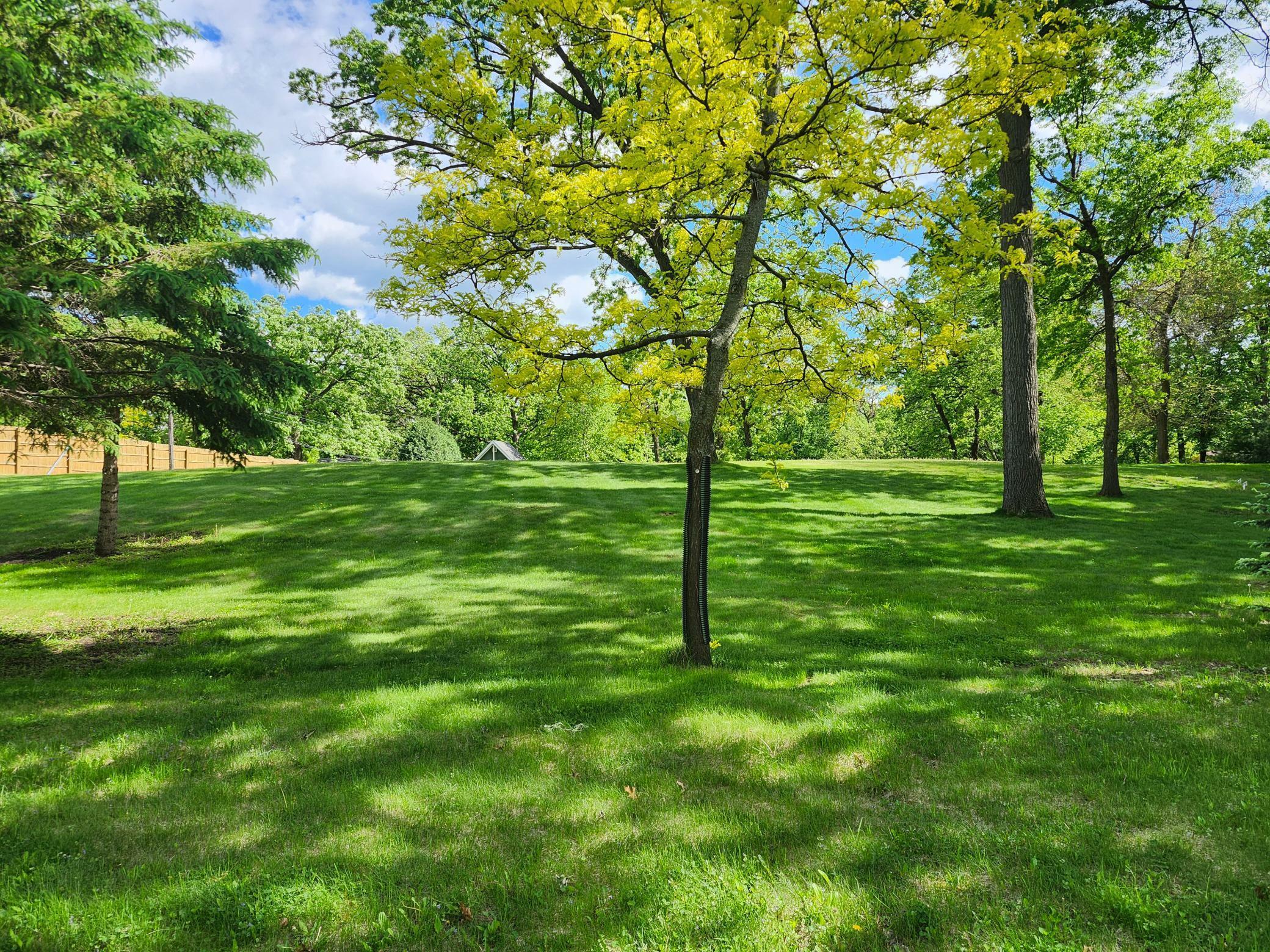 Xxxx Robinwood Drive  Minnetonka MN 55345 photo