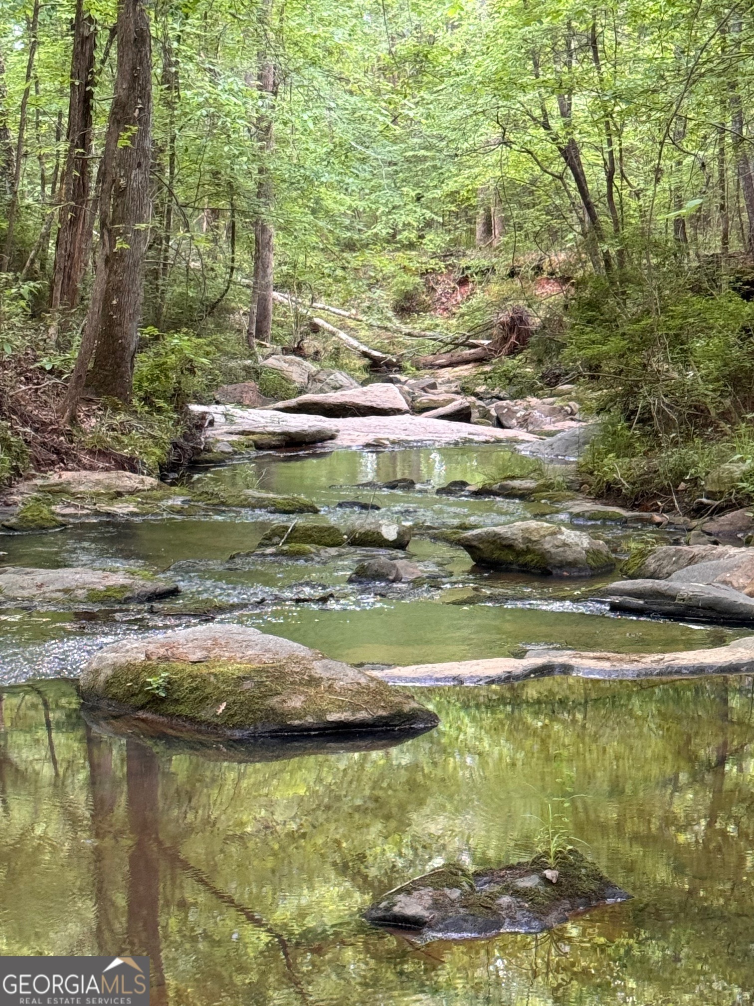 Property Photo: 449 Old Indian Springs Road GA 31029