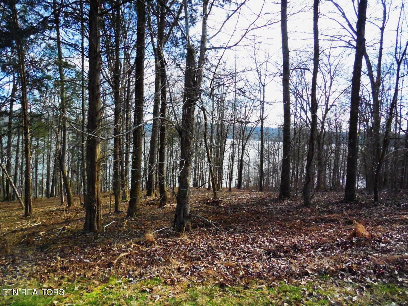 Property Photo: E Shore Lot 117 Drive TN 37854