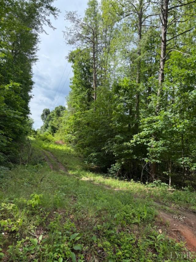 Property Photo:  0 E. Pamplin Road  VA 23958 