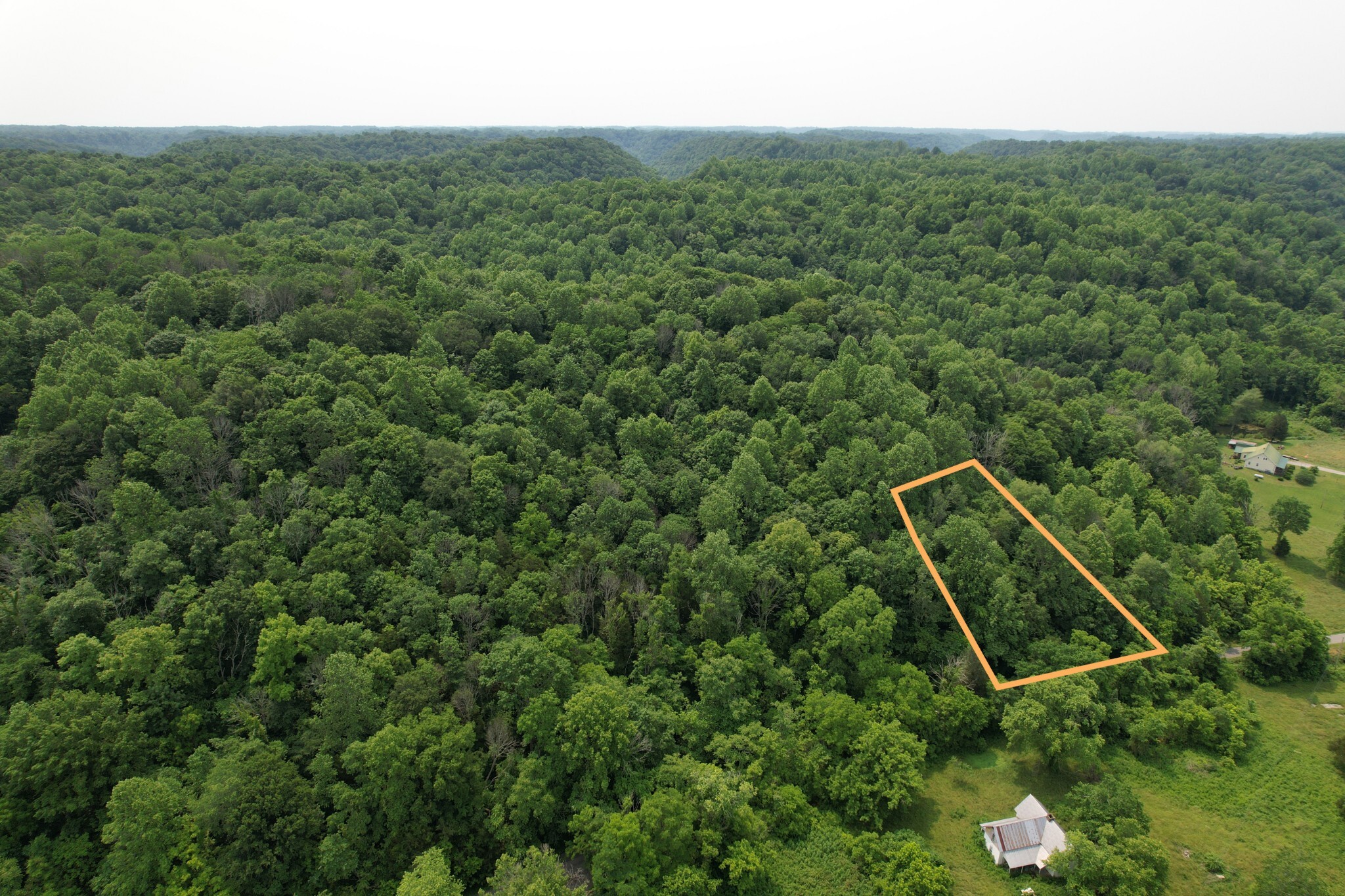 Property Photo:  0 Peytons Creek Rd  TN 37057 