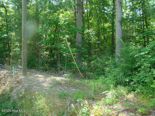 Property Photo: 1 Birch Drive NC 27814
