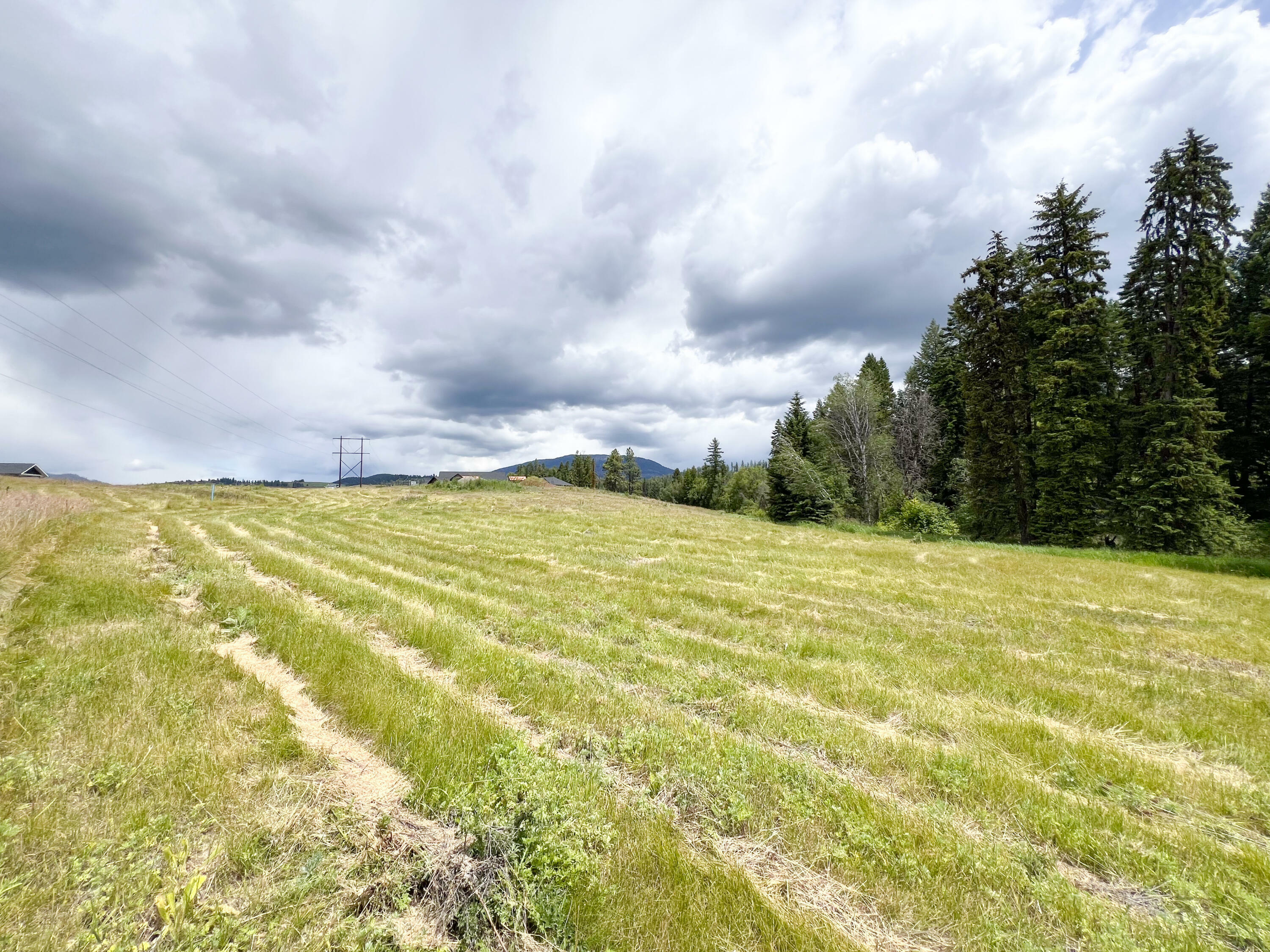 Property Photo: 2082 Whitetail Way WA 99114