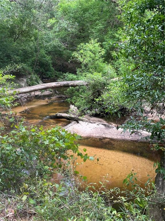 Property Photo: 52116 Thigpen Road LA 70438