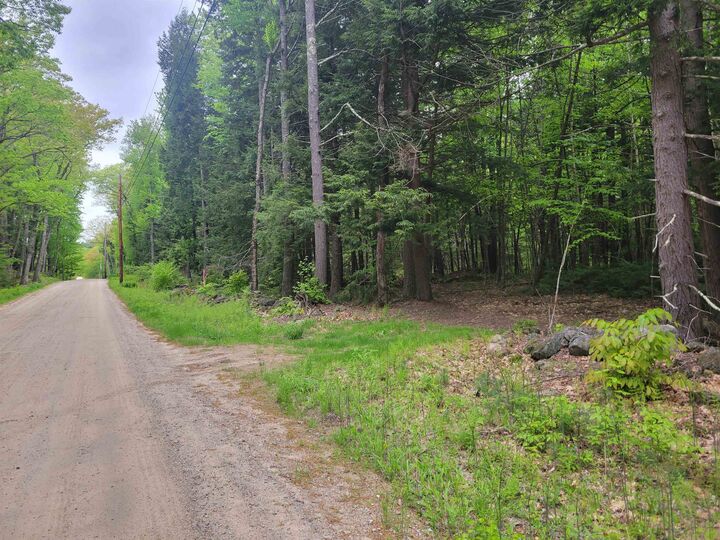 Property Photo:  Lot 1-9 Old Turnpike Road  NH 03234 