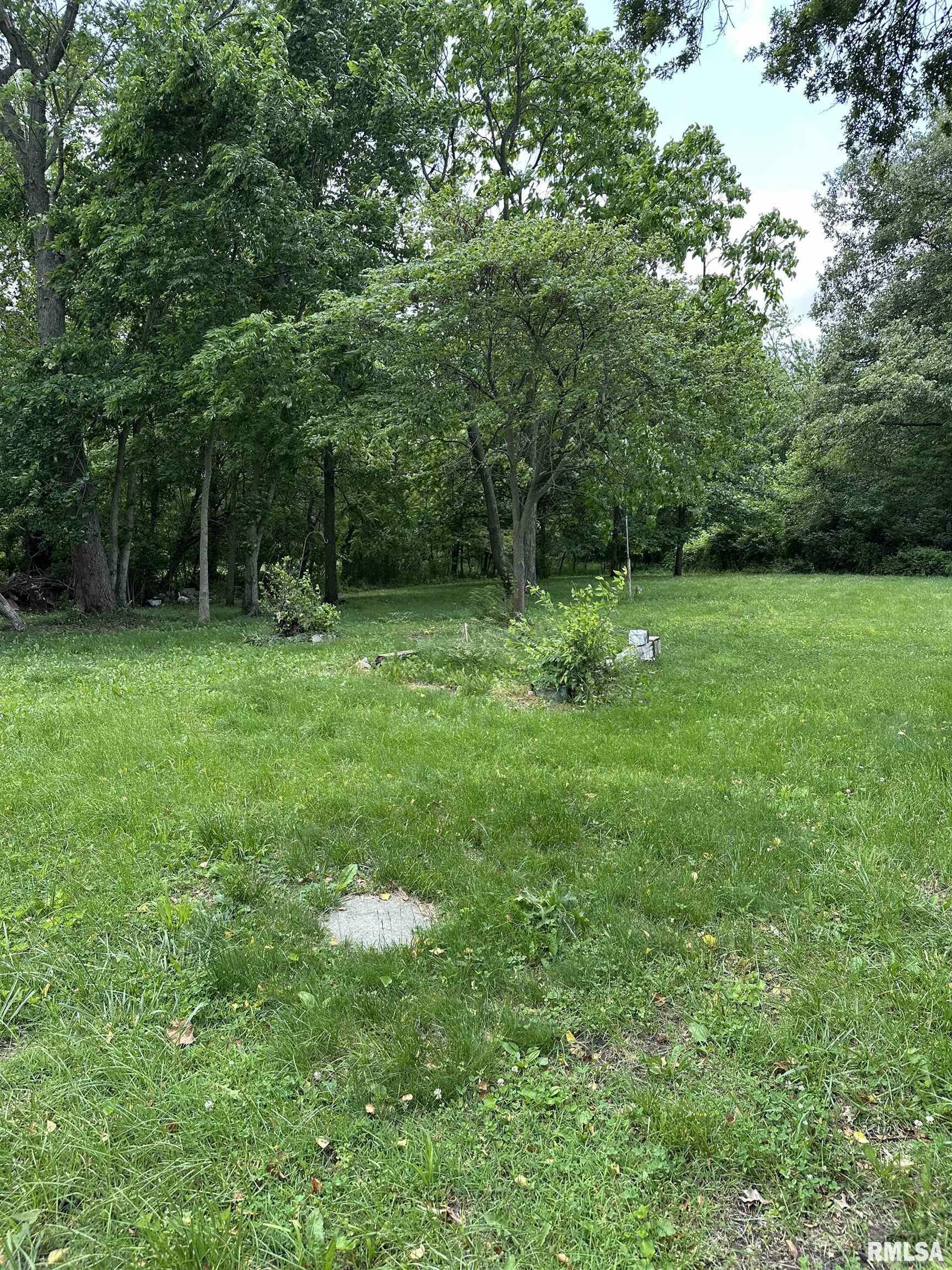 Property Photo: 1480 Hemlock Road IL 62832