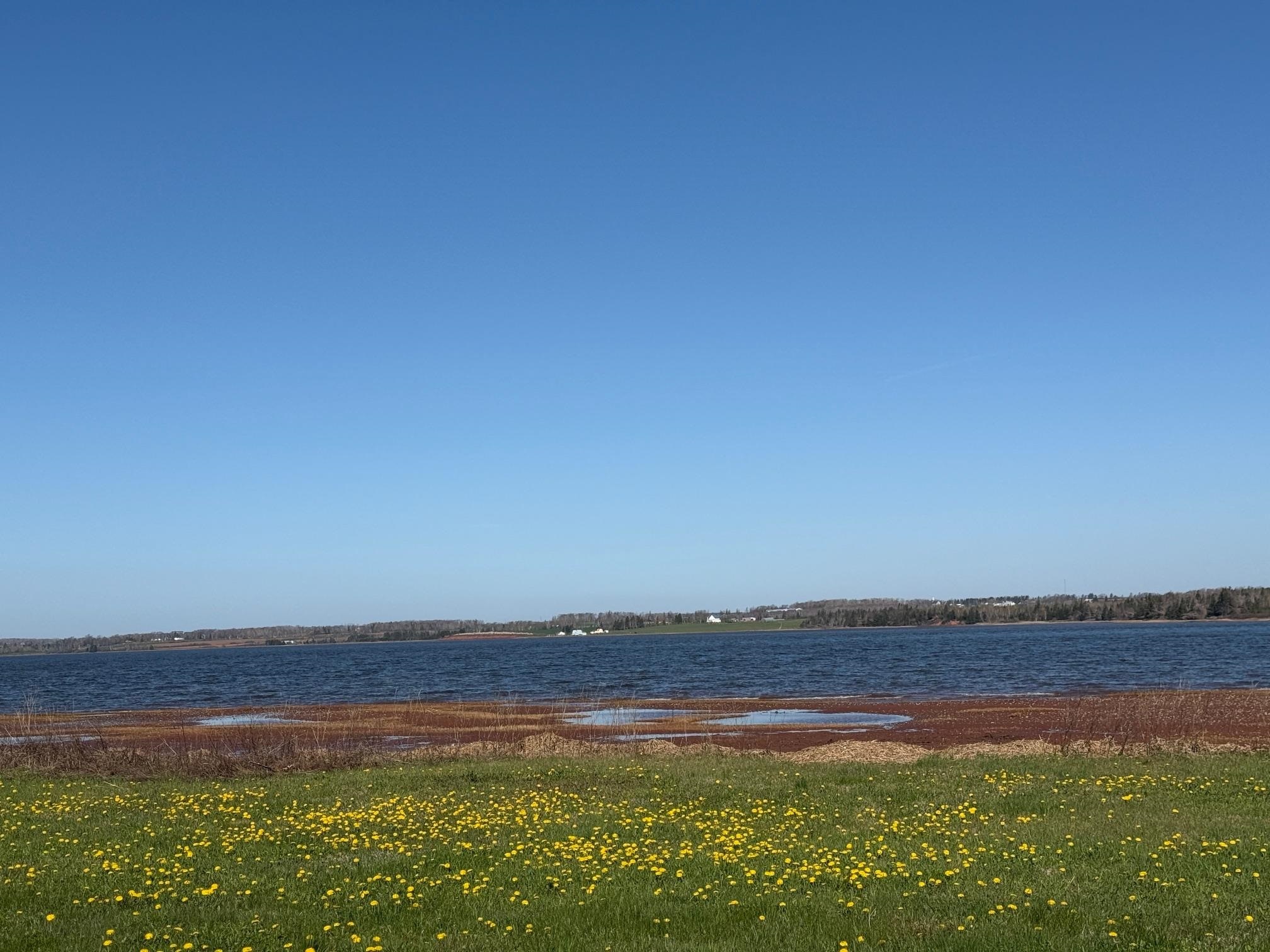 Property Photo: 369 Driftwood Lane PE C1B 3W6