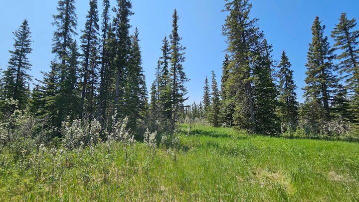 Property Photo: 34364 Range Road 42 19 AB T0M 1X0