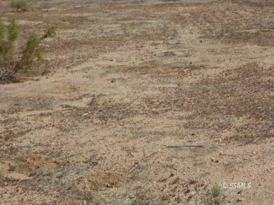 Property Photo: 155-248-15 Panamint CA 93528