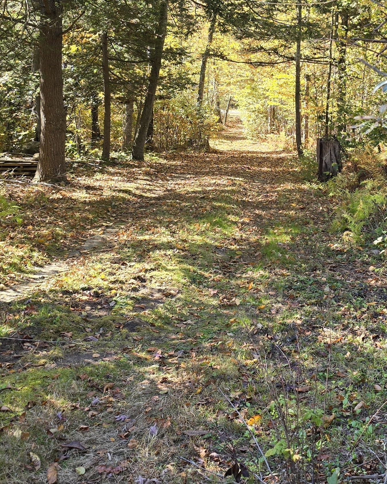 Property Photo: 0 Al Harvey Road CT 06378