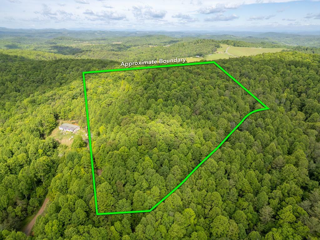 Tbd Laurel Fork Rd  Laurel Fork VA 24352 photo