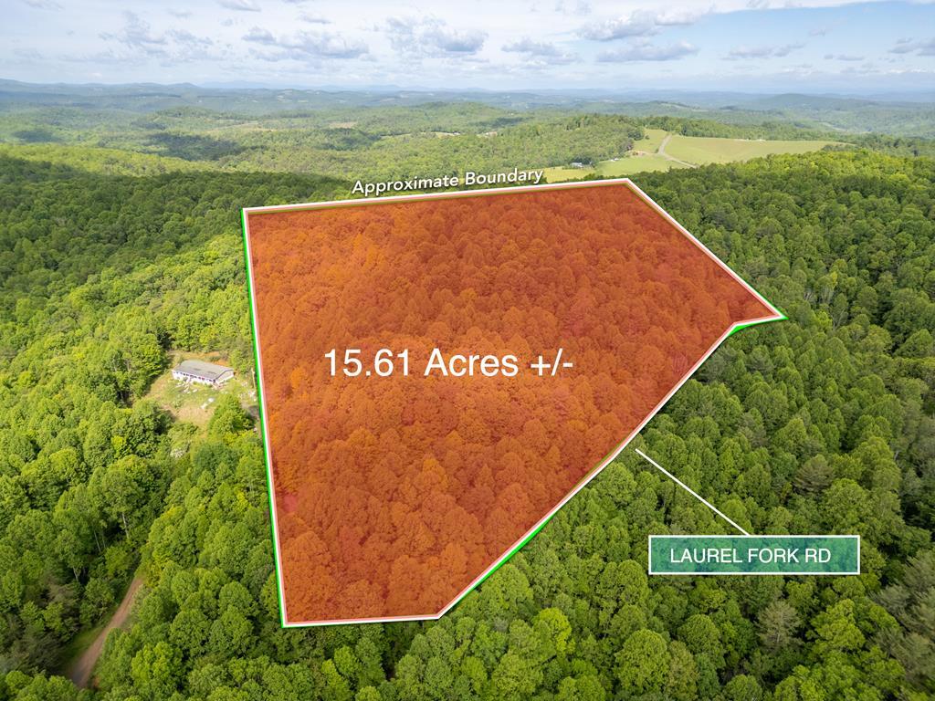 Property Photo: Tbd Laurel Fork Rd VA 24352