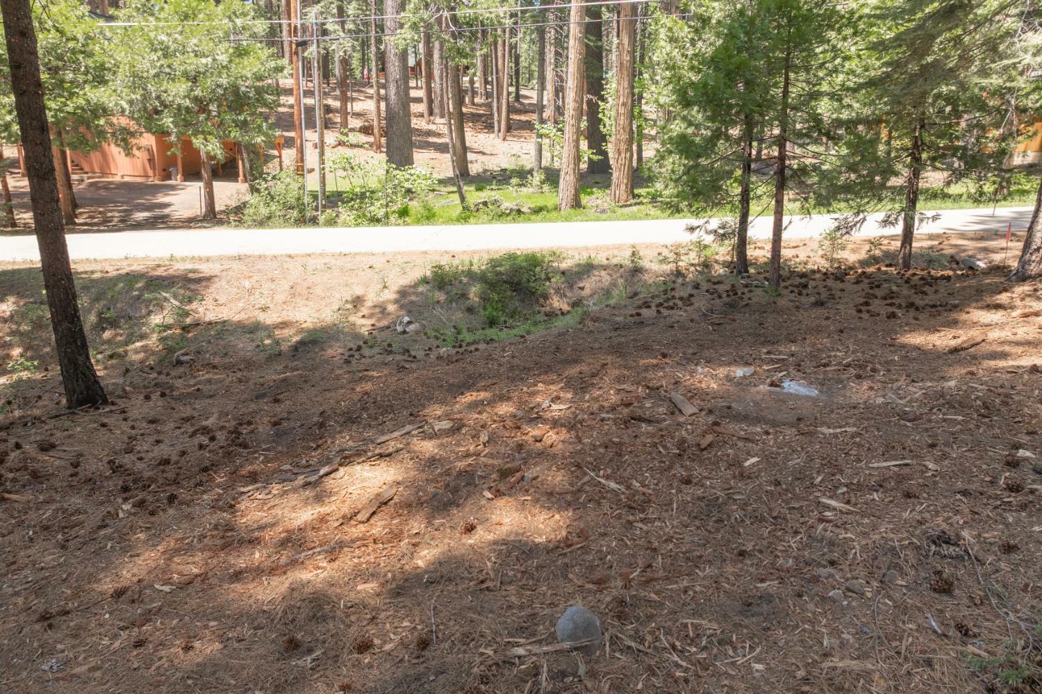 Property Photo: 3043 Shoshone Drive CA 95223