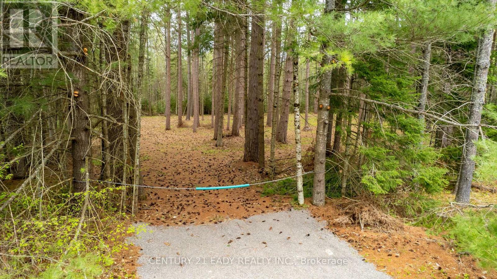 536 Pine Street  Greater Madawaska ON K0J 2R0 photo