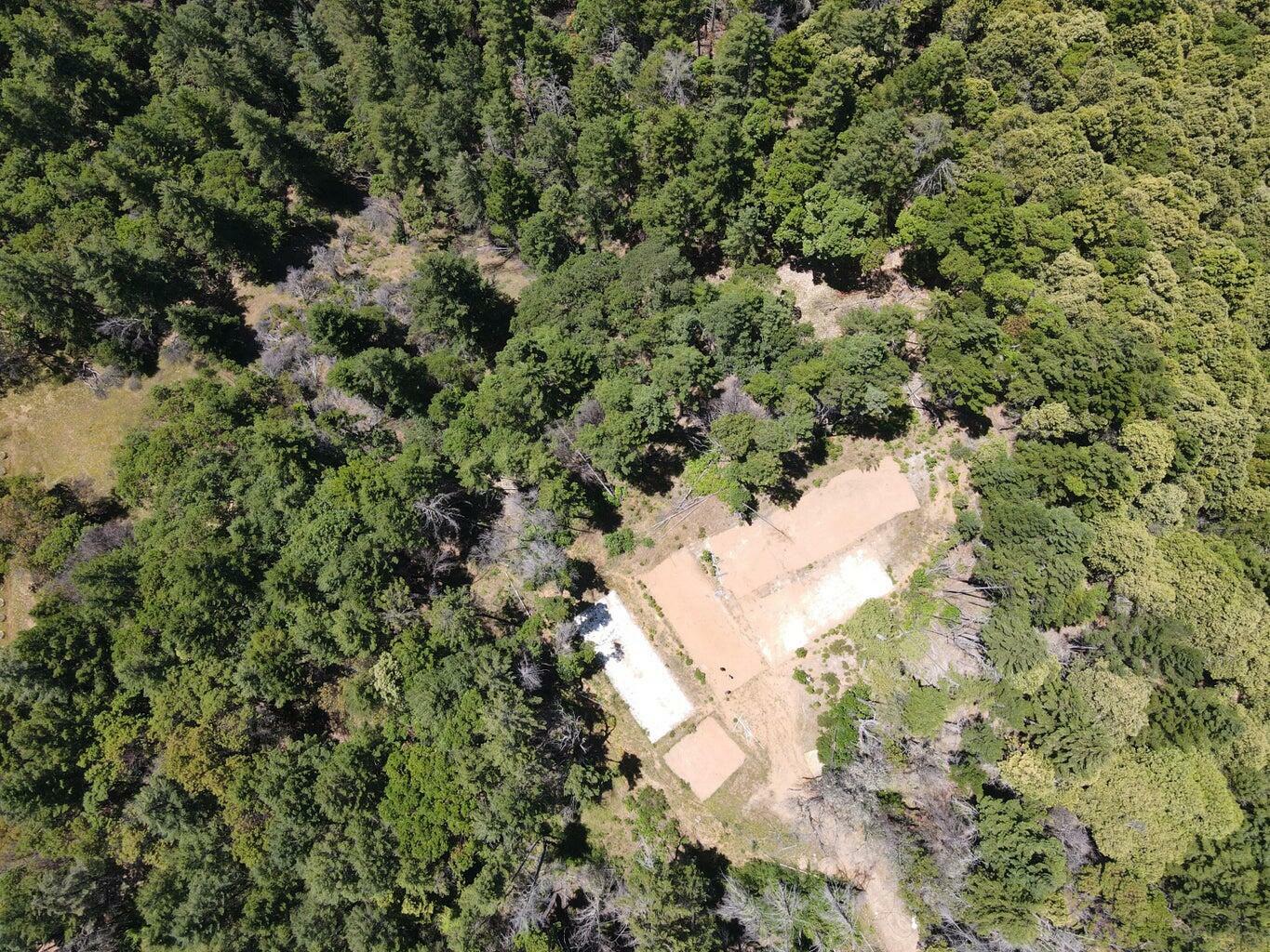 Property Photo: 160 Dobbyn Creek #1 None CA 95511