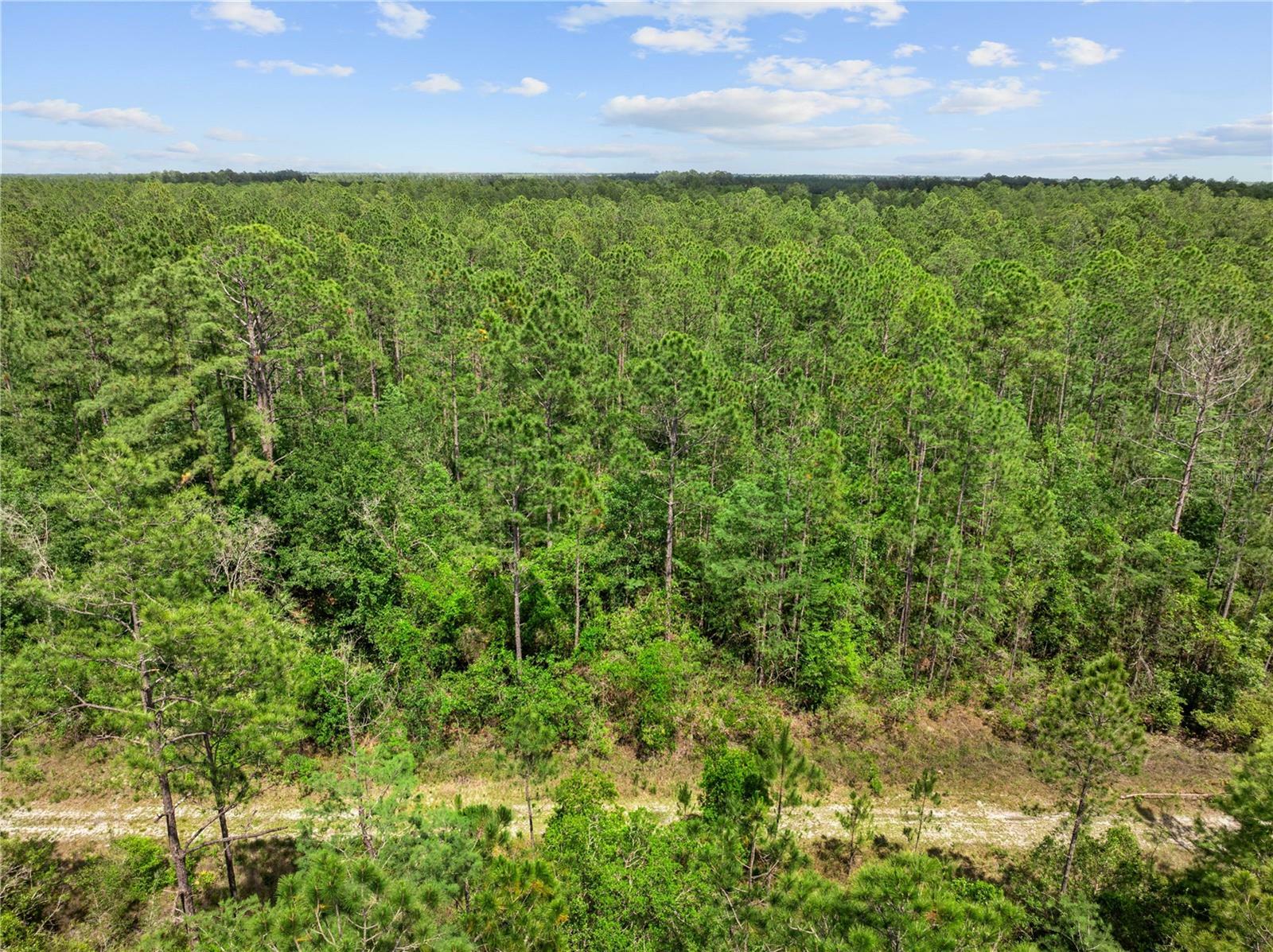Property Photo: Crotty Avenue FL 32145