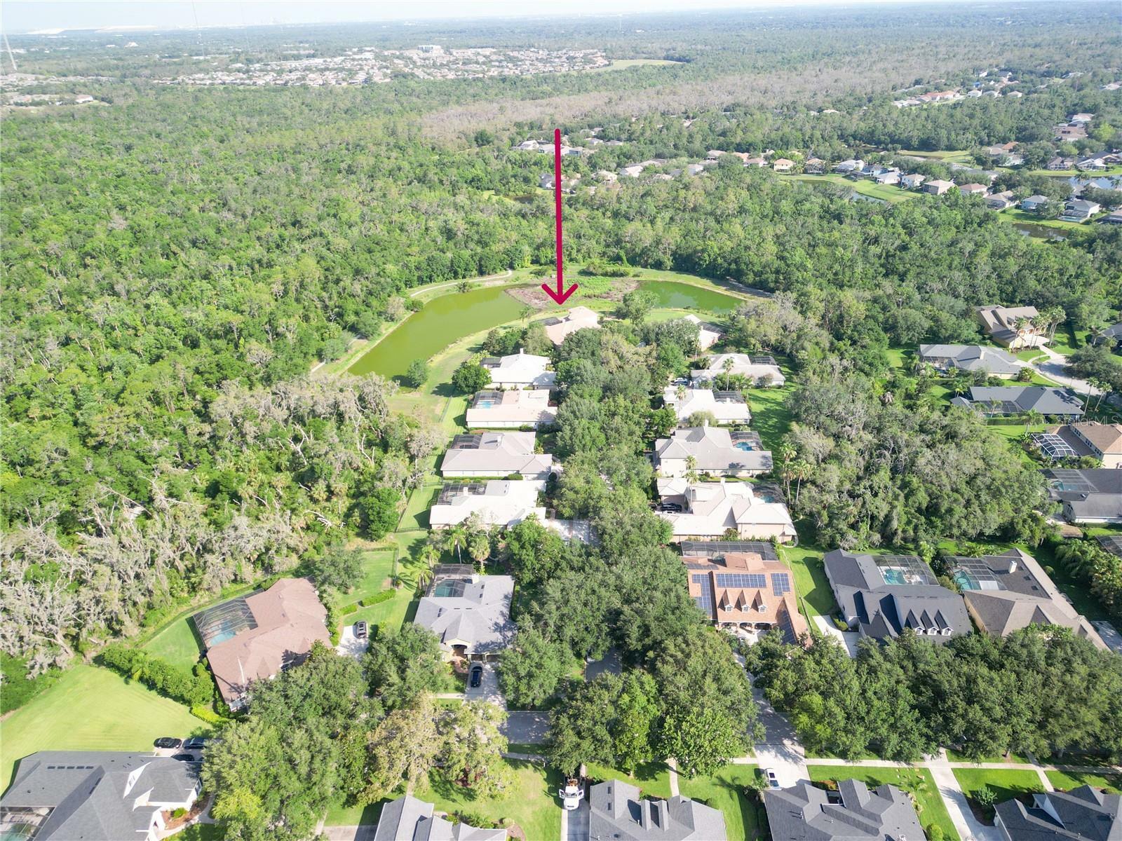 Property Photo: 15101 Kestrelglen Way FL 33547