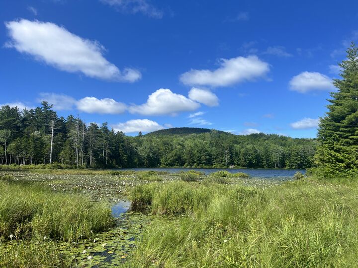 Property Photo:  0 Pine Hill Lane  ME 04614