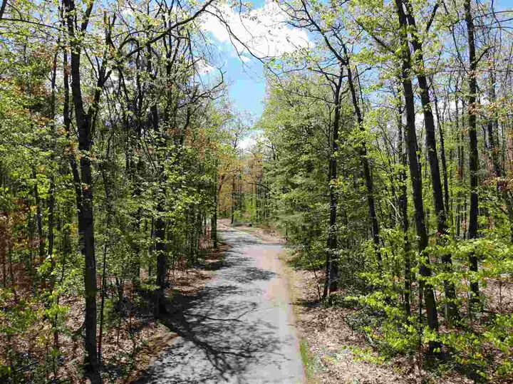 Property Photo: Tbd Eastridge MI 49735