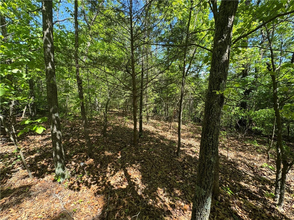 Property Photo: 000 County Road 3216 AR 72830