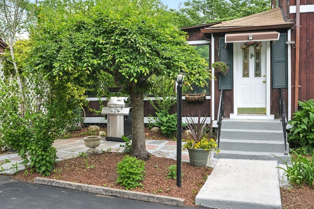 Property Photo: 11 Fairlawn Street MA 01075