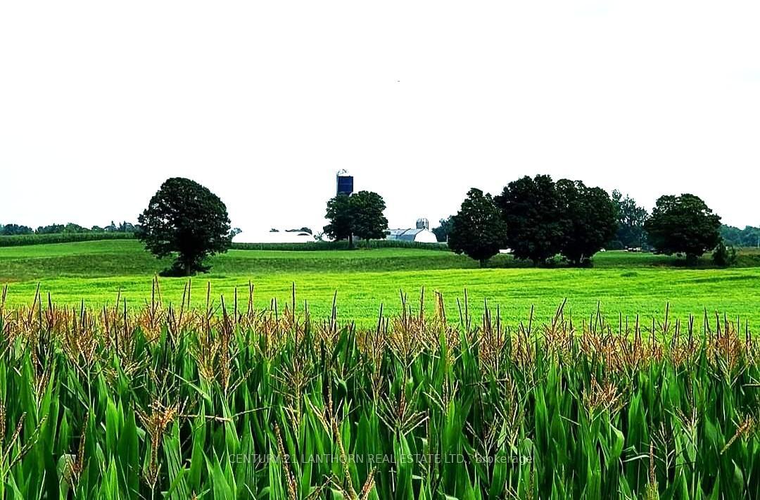 173 (B) Card Road  Stone Mills ON K0K 3N0 photo