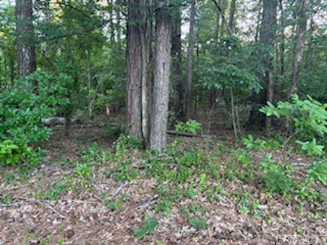 Property Photo:  Lot 12 Peppertree  AR 71701 