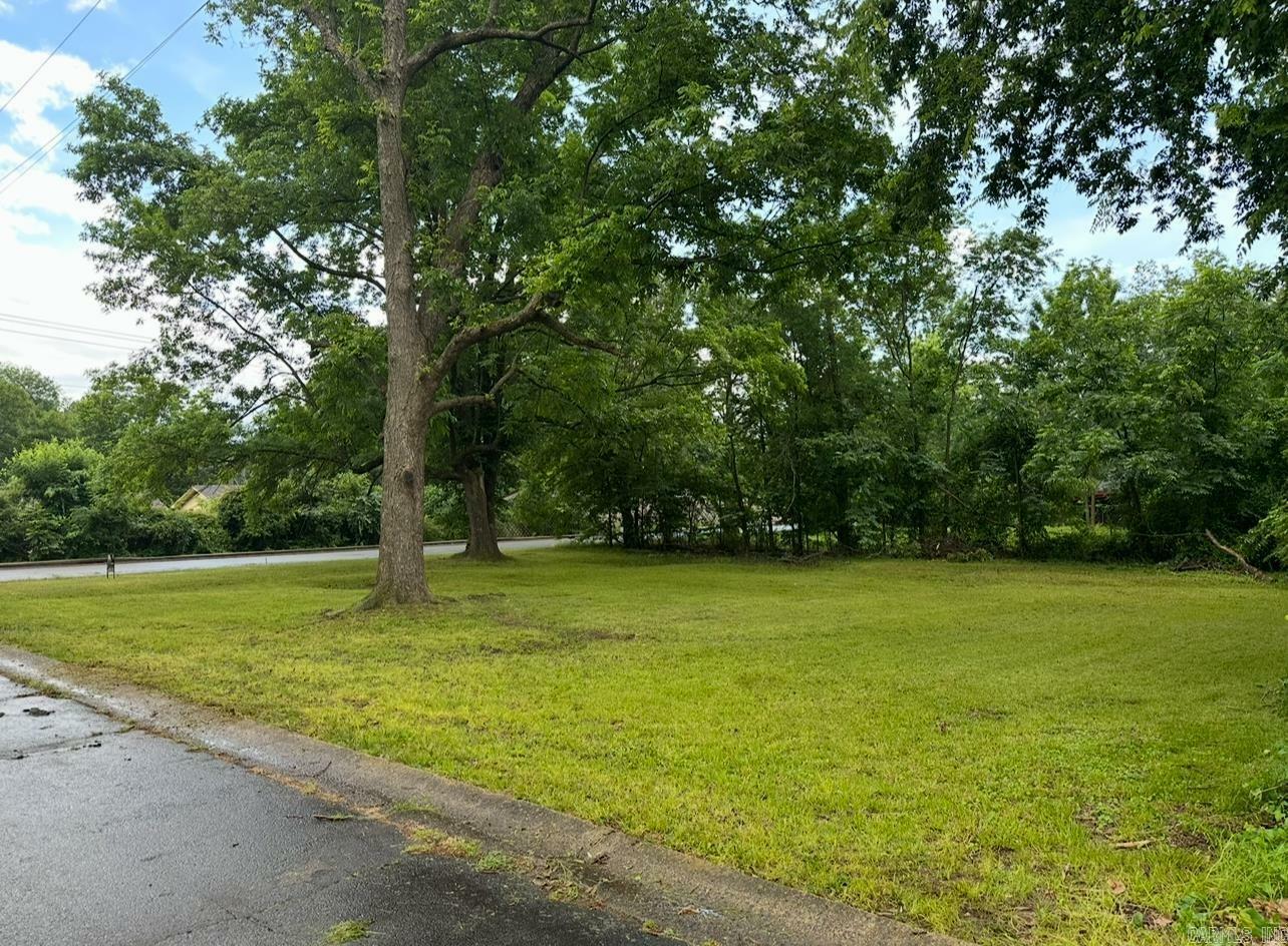 Property Photo: 000 Ingram Street AR 72032