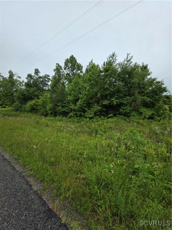 Property Photo: 00 Tbd Plank Road VA 23944