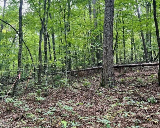 Property Photo: 0 Mountain View Lane GA 30555