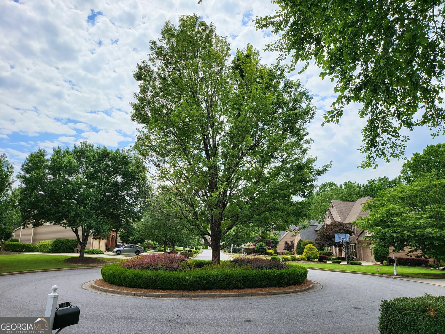 Property Photo: 151 Overhill Point GA 30005