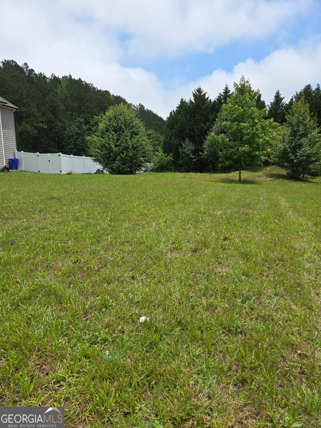 Property Photo: 113 Tumble Run GA 30281
