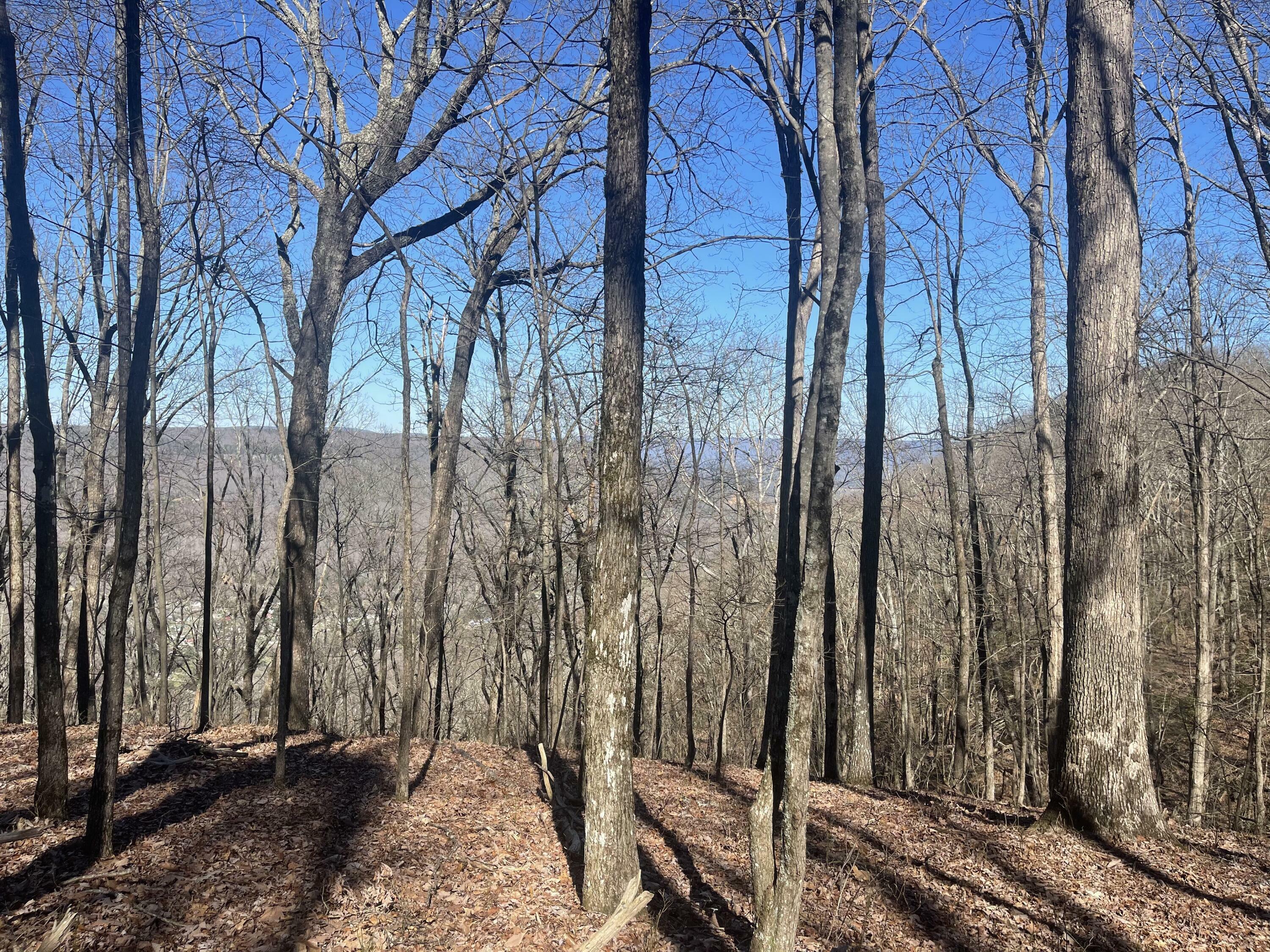 Property Photo: 80 High Point Lane TN 37347