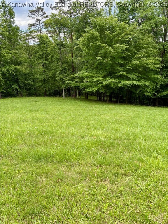 Lot 11 Crooked Creek Road  Scott Depot WV 25560 photo