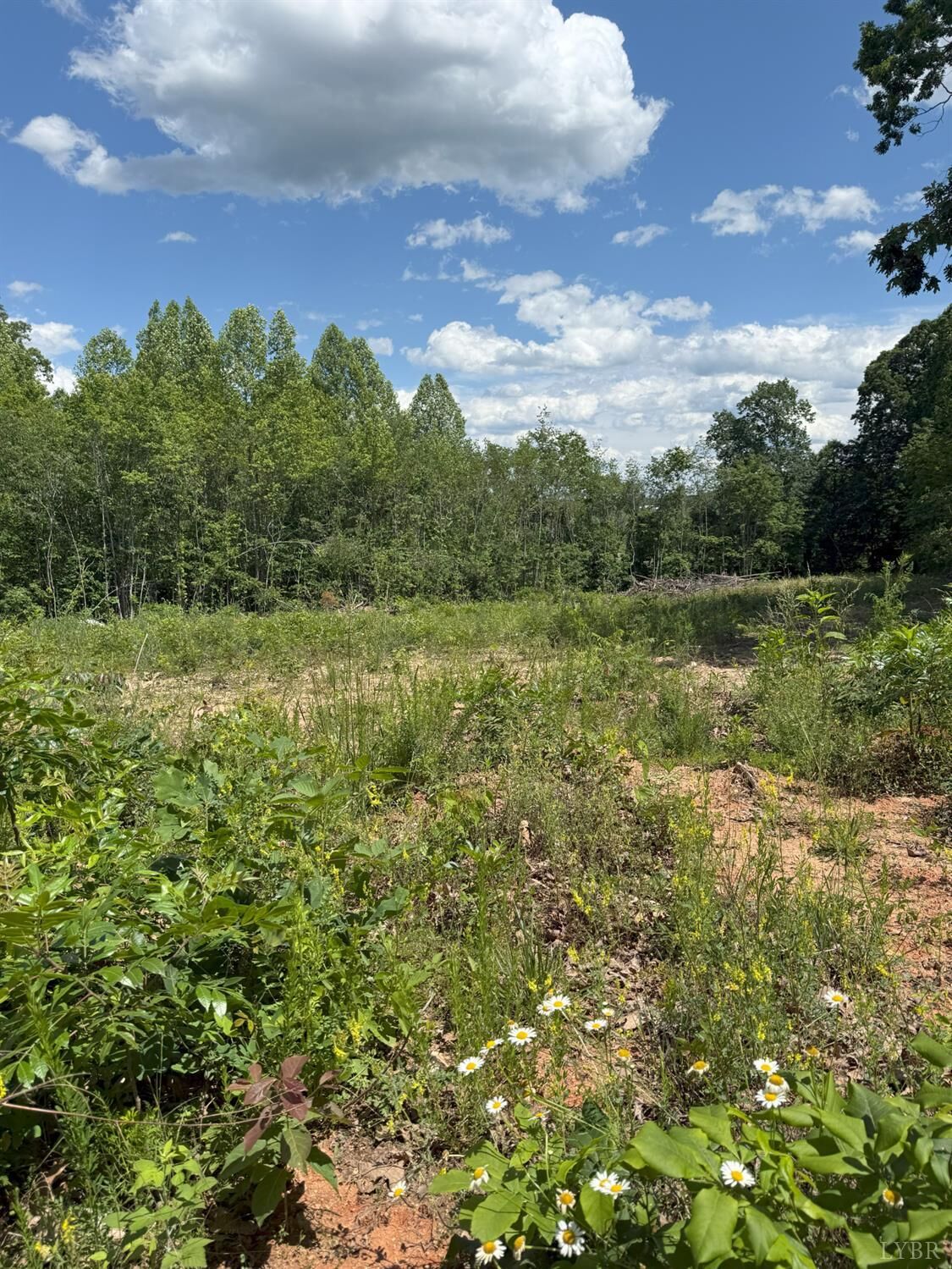 Property Photo: 0 Cutbanks Road VA 24522