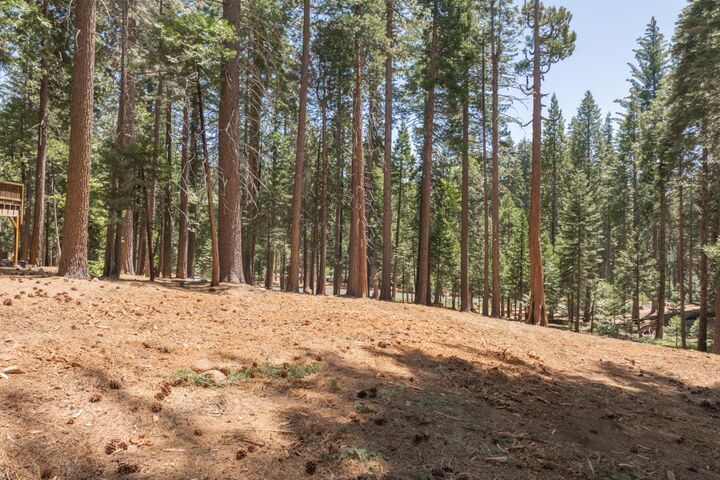 Property Photo:  3043 Shoshone Drive  CA 95223 