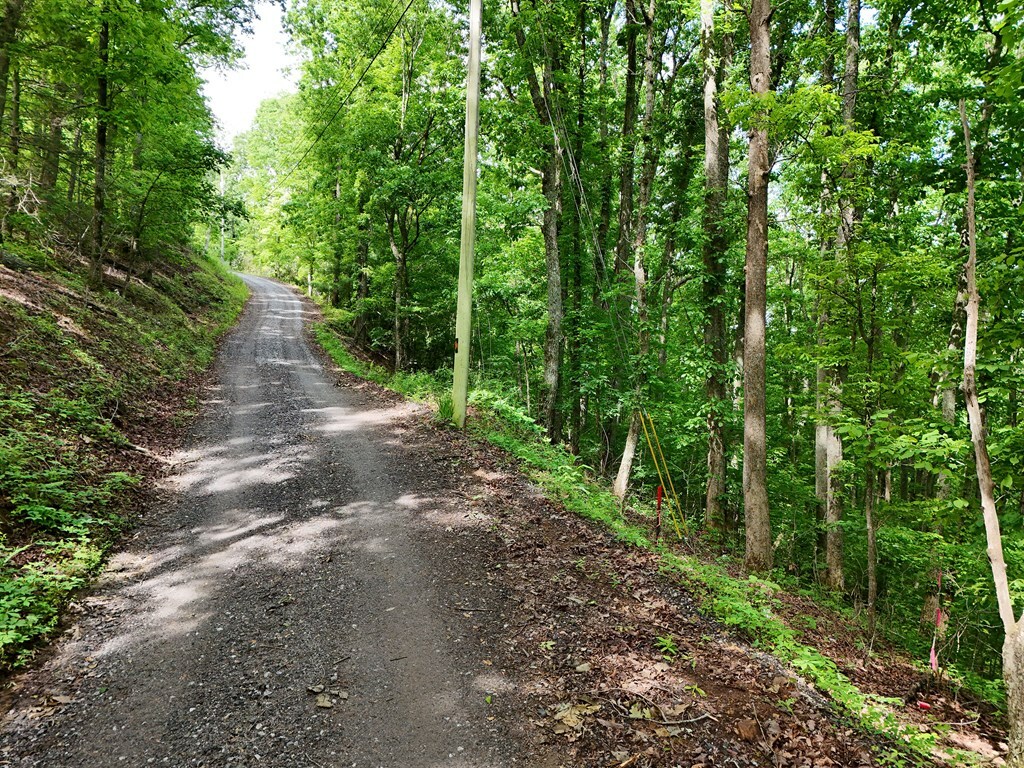 Property Photo: 14B & C Rainbow Ridge GA 30546