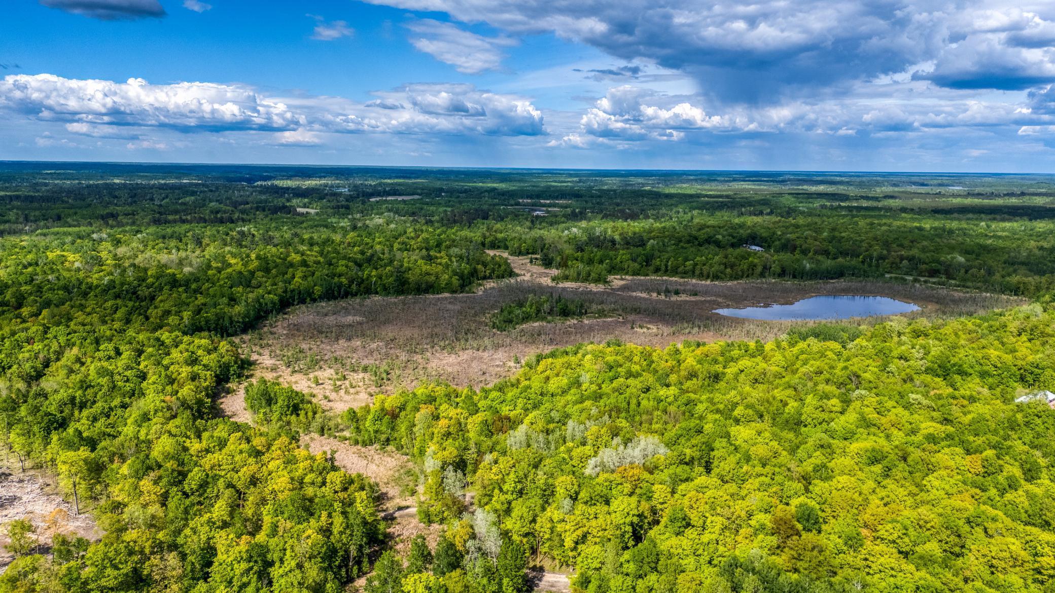 Property Photo:  0000 Lamon Road NE  MN 56601 
