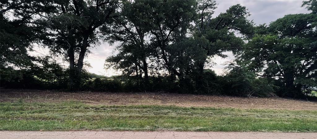 Property Photo: Lot 6 County Road 1560 TX 75410