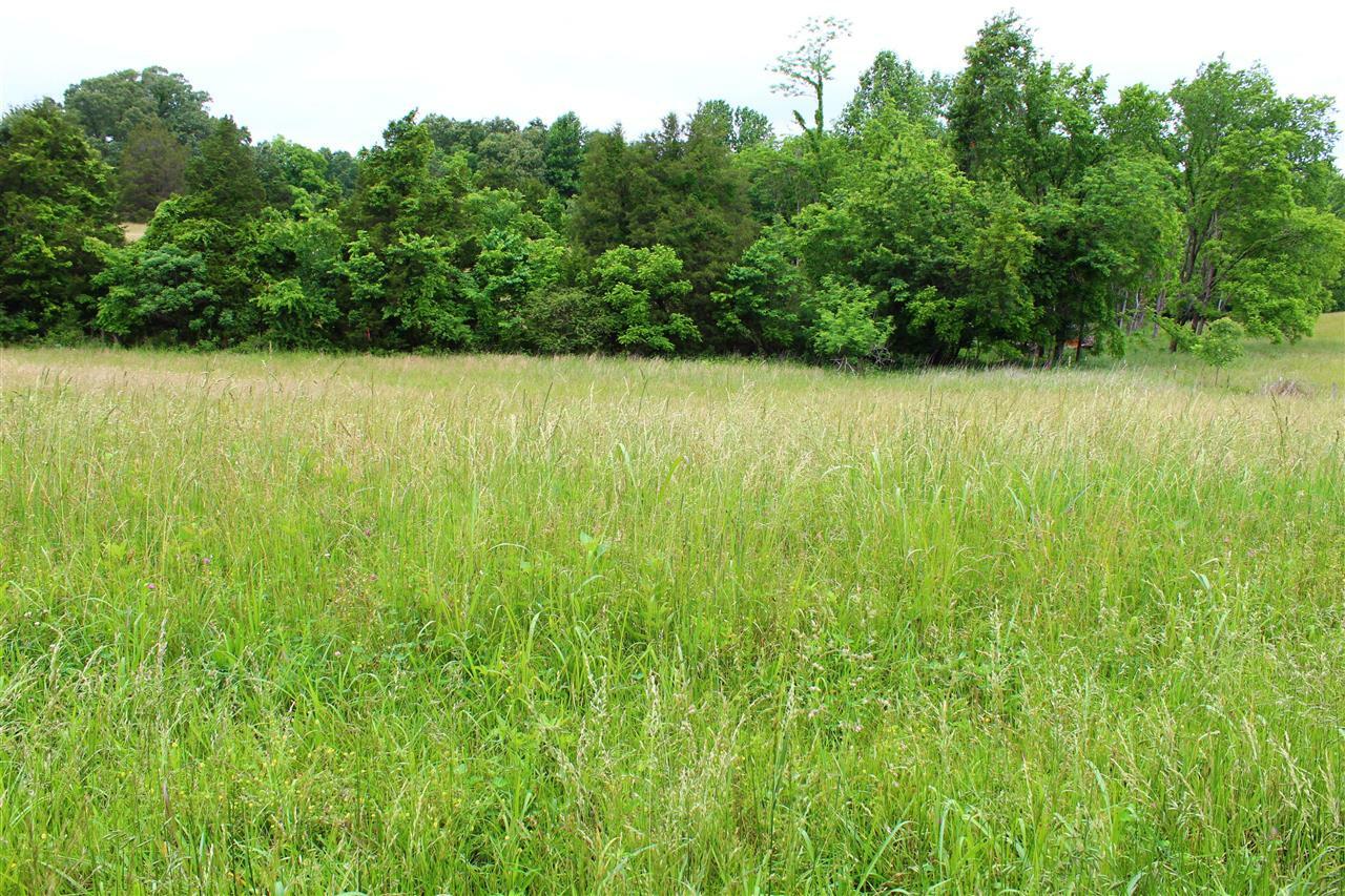 Property Photo: 695 Calvert Road KY 42120