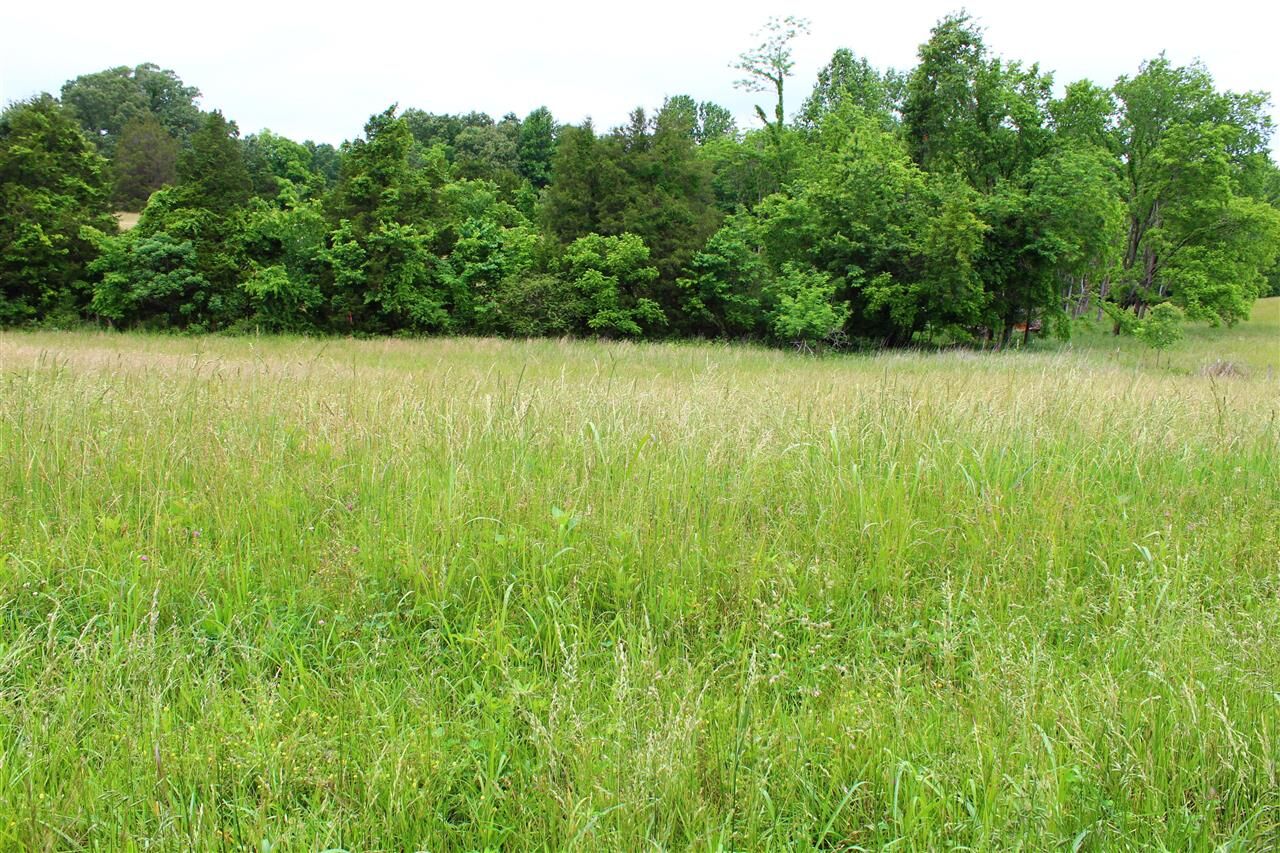 Property Photo:  695 Calvert Road  KY 42120 