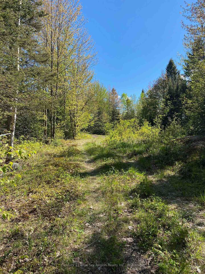 Property Photo:  471 Weiler Line  ON P0H 2L0 