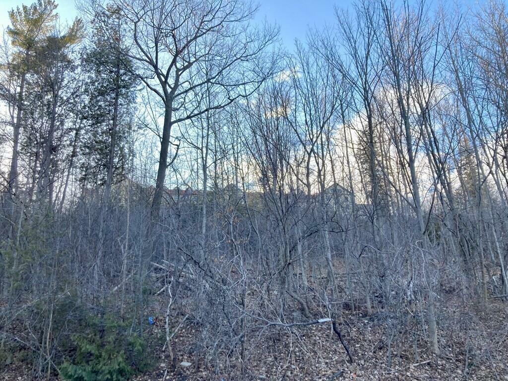 Property Photo:  01 Woodcliff Drive  NY 12901 