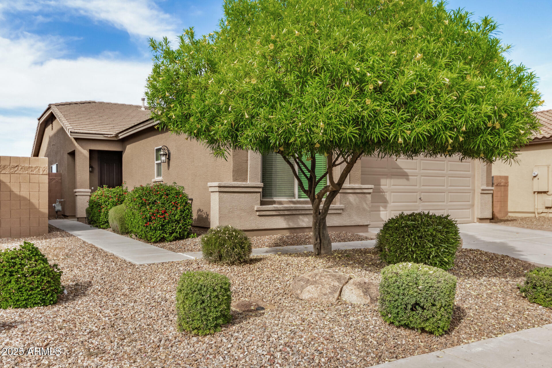 Property Photo: 1008 W Heatherwood Street AZ 85140