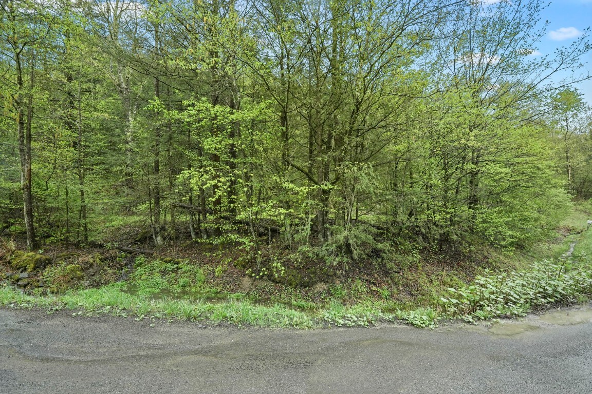 Property Photo: 0 Phillips Road NY 13865
